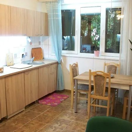 Downtown Good Location Apartment